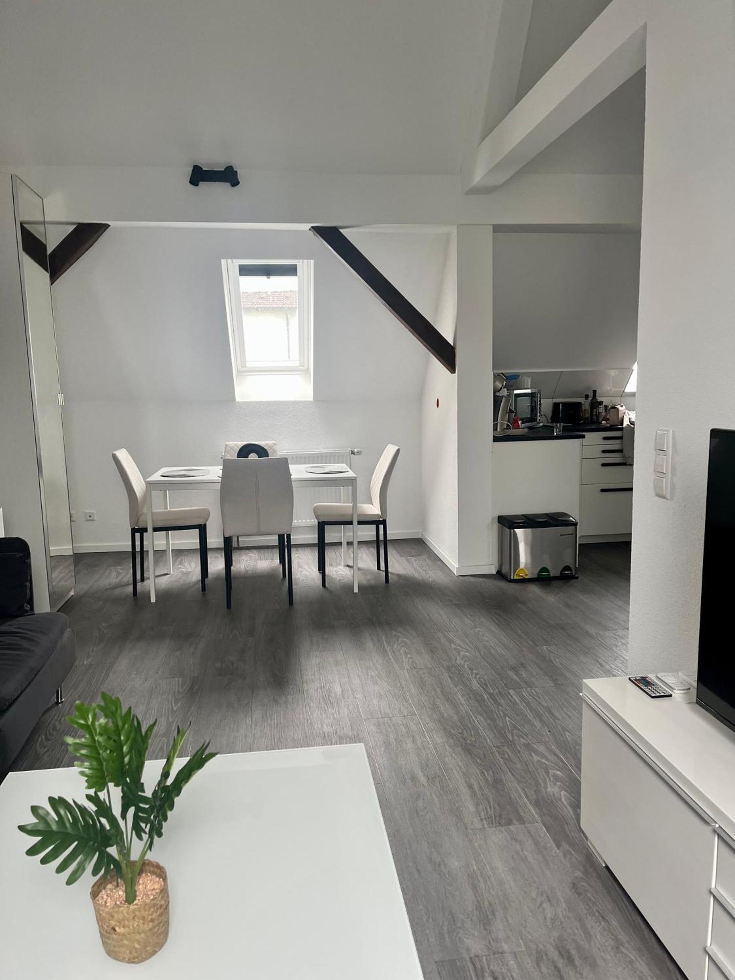 Rk-Lounge,2- Zimmer Wohnung - Modern Und Stylisch Baden-Baden Exteriér fotografie